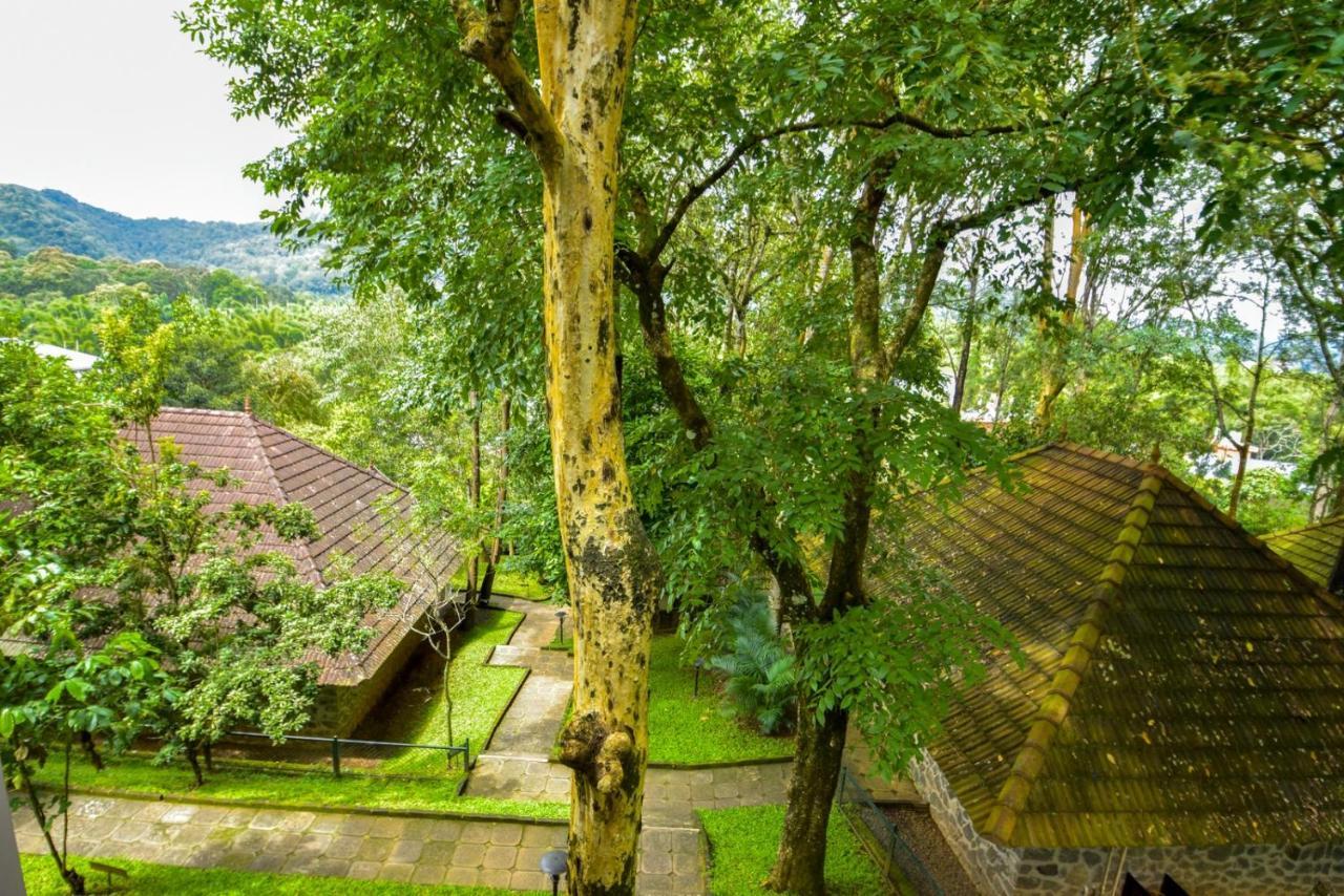 Hotel Treetop Текади Екстериор снимка